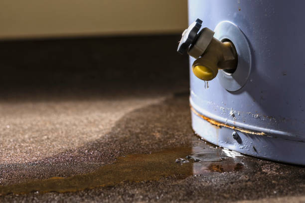 Best Water damage restoration specialists  in Carnesville, GA