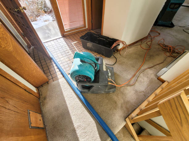 Best Sewage cleanup and water damage restoration  in Carnesville, GA