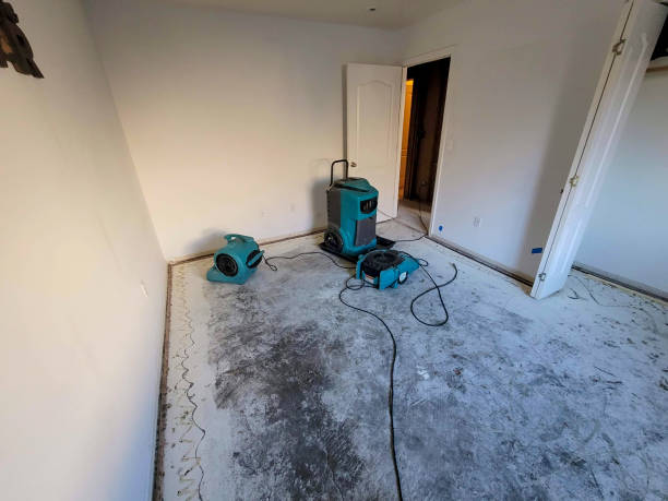 Best Professional water damage repair  in Carnesville, GA