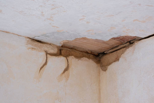Best Flood restoration services  in Carnesville, GA