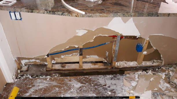Best Professional water damage repair  in Carnesville, GA