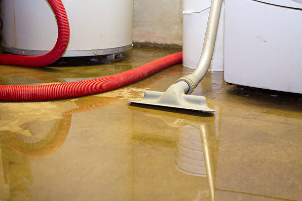 Best Flood damage cleanup  in Carnesville, GA