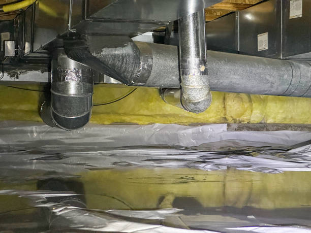 Best Basement water damage restoration  in Carnesville, GA