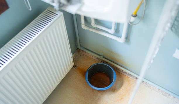  Carnesville, GA Water damage restoration Pros