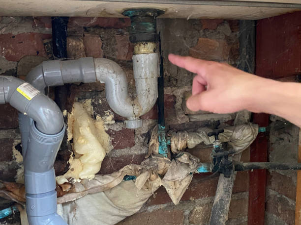 Best Flooded house restoration  in Carnesville, GA