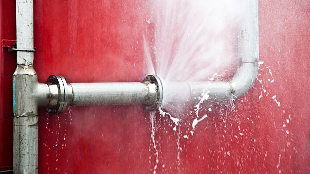 Best Water damage contractors near me  in Carnesville, GA