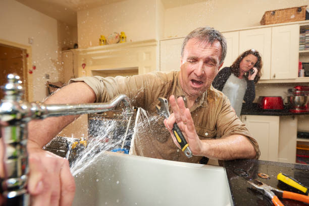 Best Flooded house restoration  in Carnesville, GA